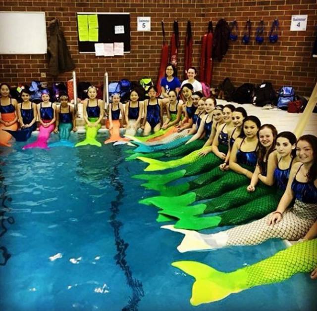 自由潜水怎么玩,潜水20个基本技巧