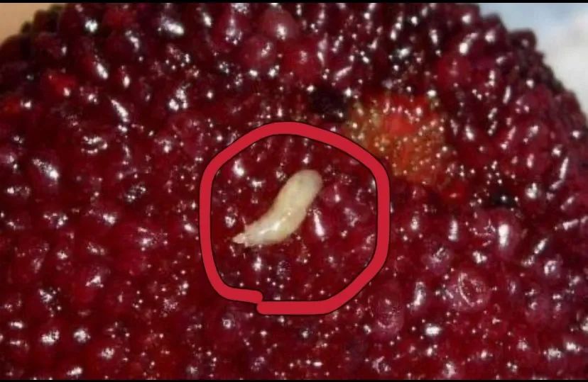 这4种水果营养丰富,这4种水果吃着不甜但含糖量很高