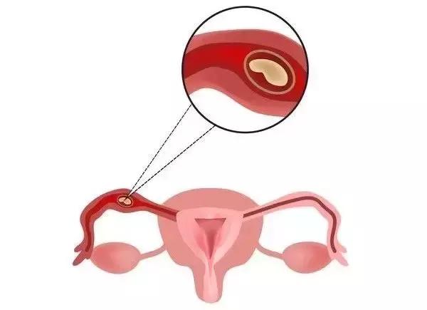 相逢一场心存感激,相逢一场只求留下最美好的时光