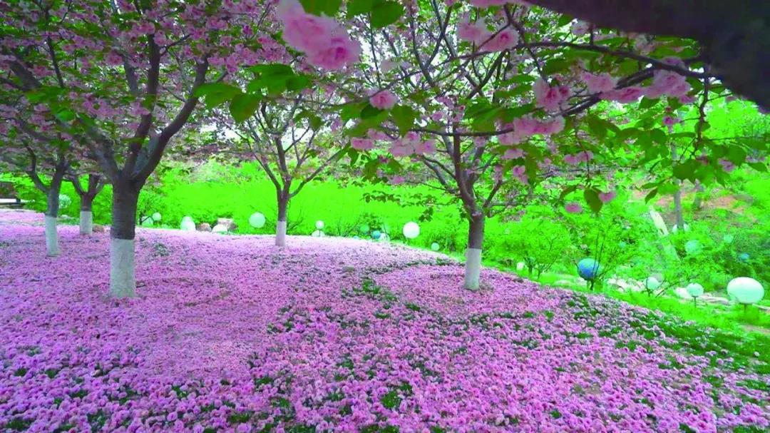 沈阳10月新闻,2018年12月11日沈阳新闻