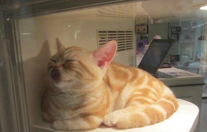 跟钢铁直男的尬聊,和钢铁直男吵架的感受