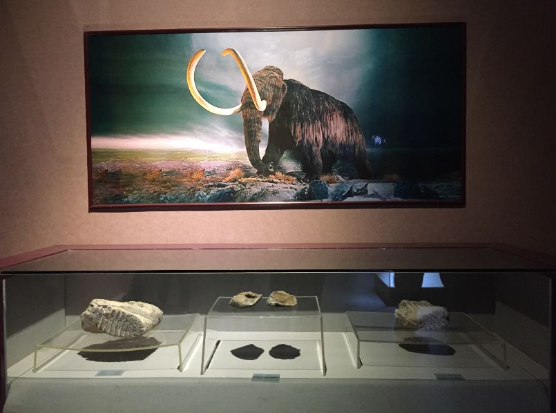 九师塔城额敏冰雪文化旅游节,2022兵团九师塔城额敏冰雪节