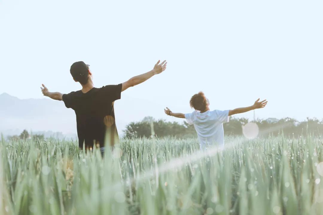 东野圭吾《恶意》：没有来由的恨，是人性最大的恶