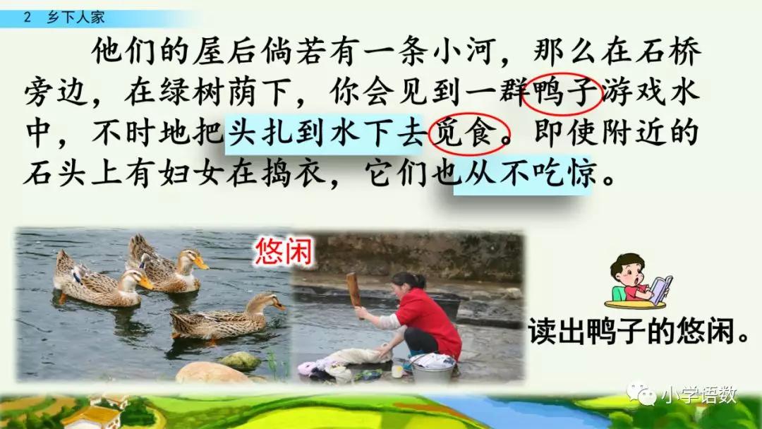 四年级下册乡下人家小练笔350字,四年级语文下册繁星精讲教学视频