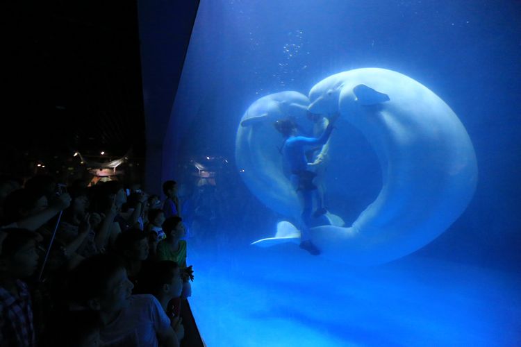 塘沽周边自驾游攻略,塘沽金街旅游攻略