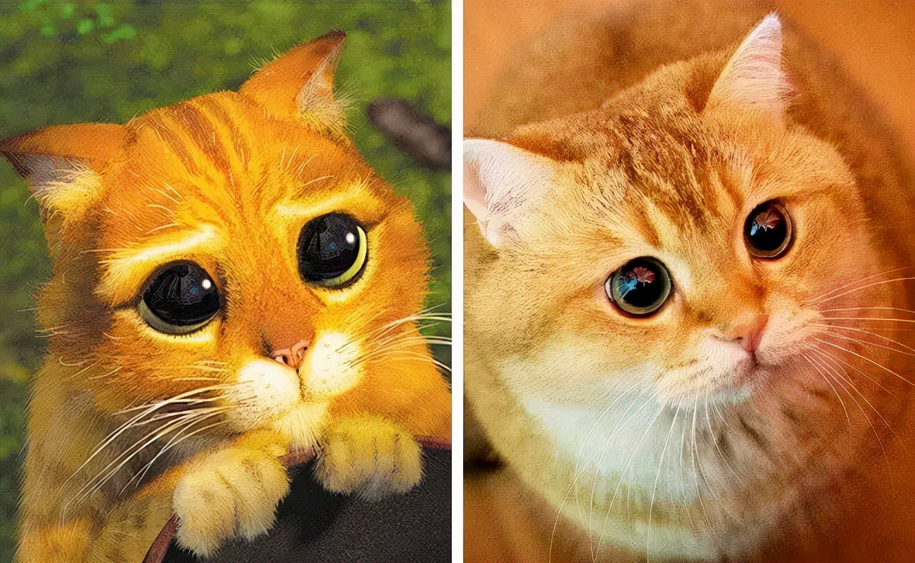 盘点那些经典的可爱卡通动物,盘点那些长得像漫画版形象的动物