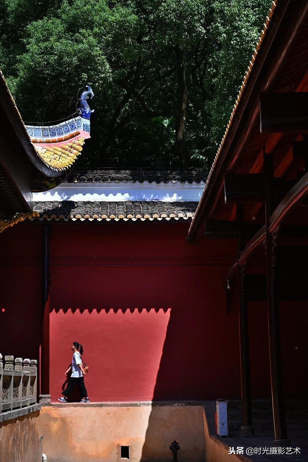 尼康z7ii微单摄影教程,尼康z7数码微单摄影技巧大全