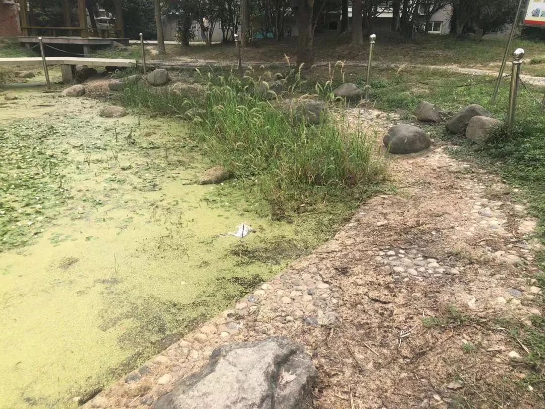 盐城什么房子不能买,现在盐城房子还能不能买