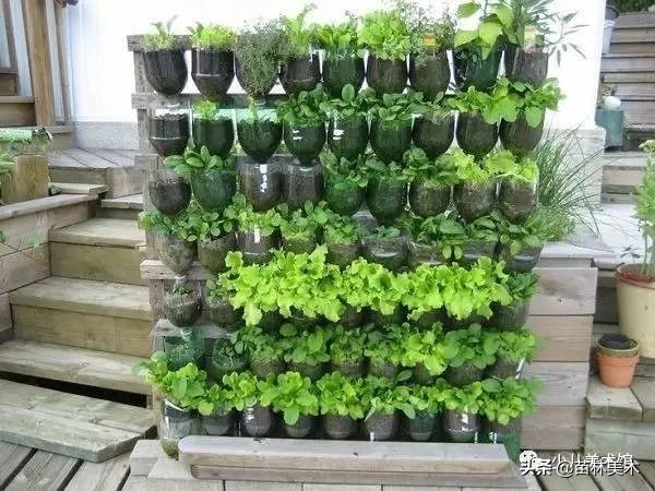 塑料瓶变废为宝手工制作垃圾桶,洗衣液塑料瓶手工制作大全创意