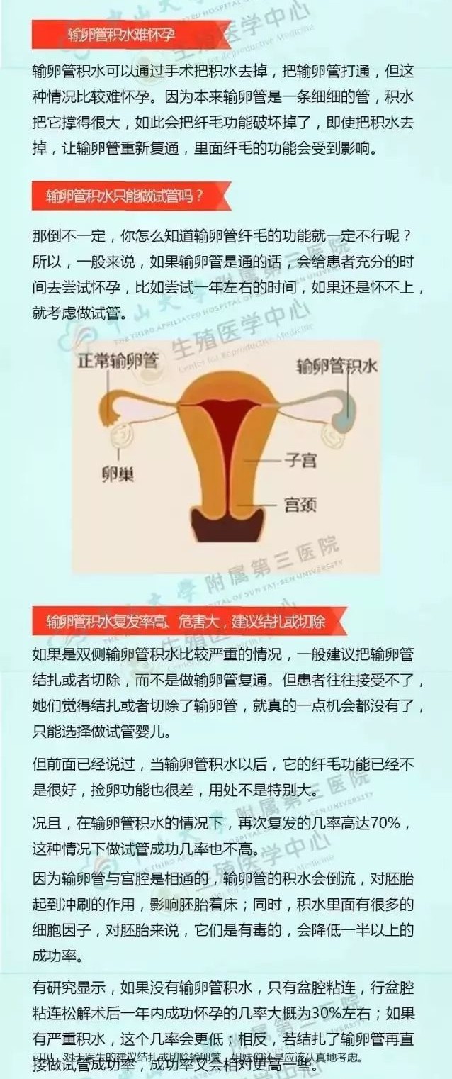 输卵管积水想怀孕,输卵管积水要切除吗还能怀孕吗