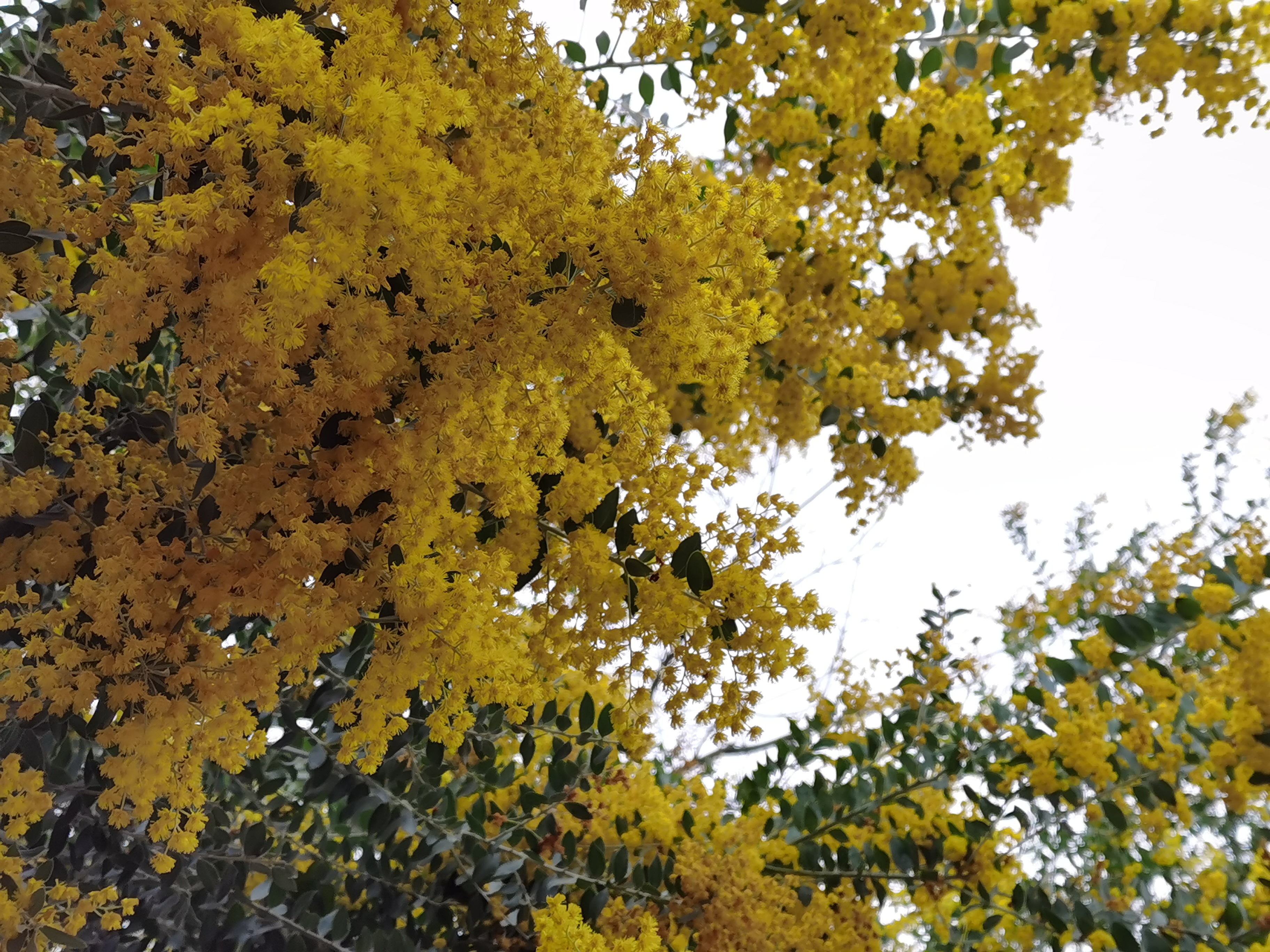 假期余额不足珍惜最后的时光,假期余额不足珍惜最后的快乐时光