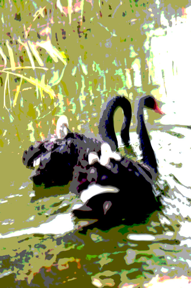 拍照废片怎么补救,摄影如何避免废片