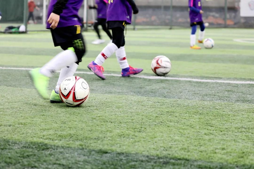 津门网金熙男：足球小将