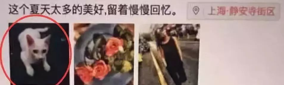 被绿又被打？还为爱自杀？至于吗