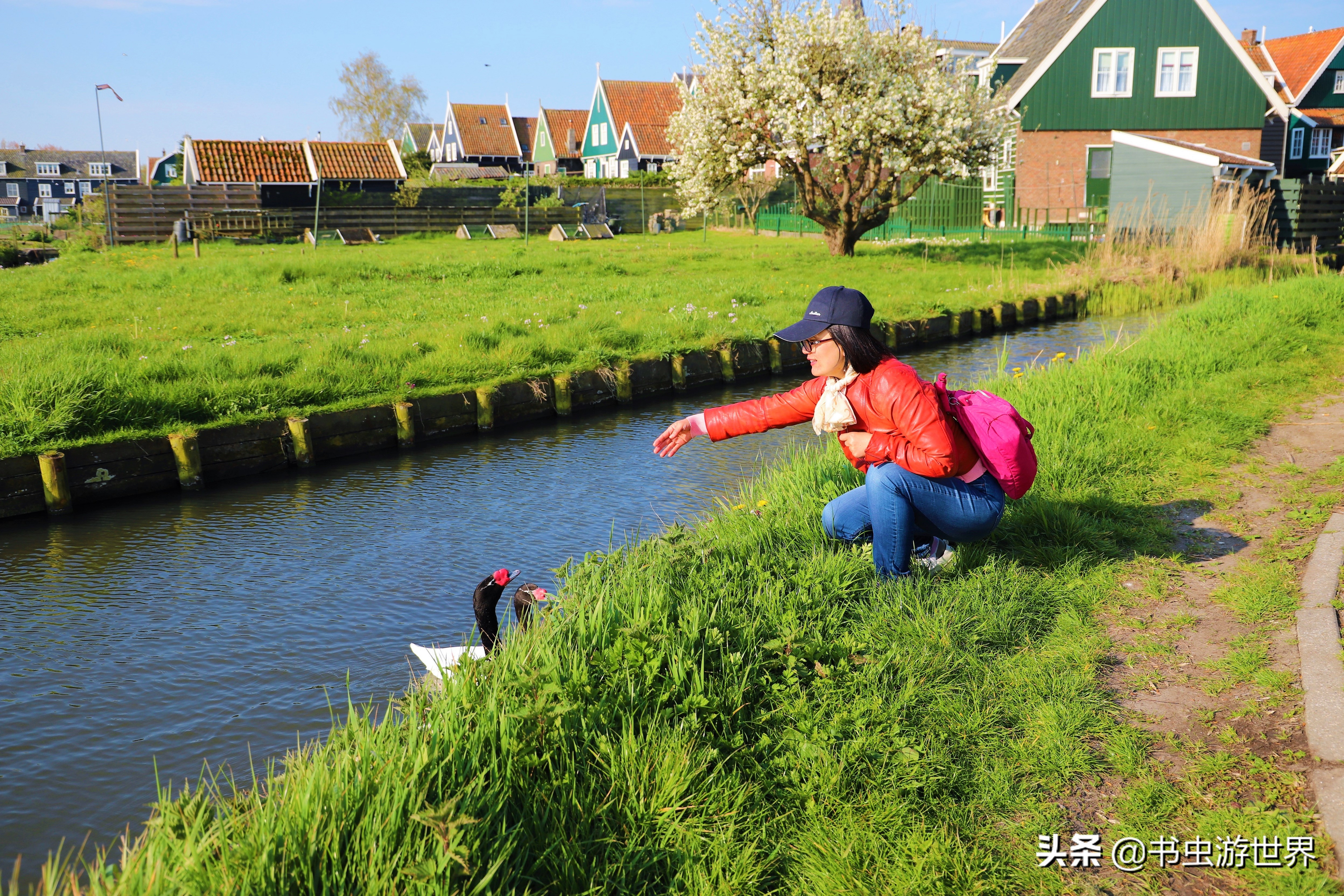 红顶小木屋,红顶绿墙小木屋