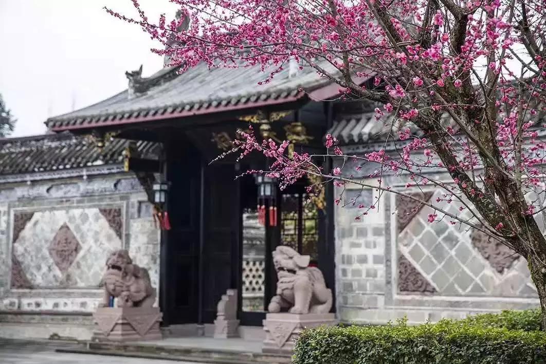 温江星河world项目重点,温江金马正在规划的重点项目