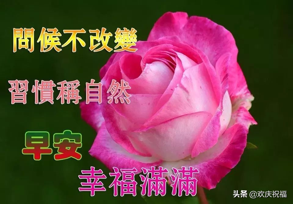 最新早上好问候祝福语带字的图片,周三早上好问候祝福语最新版