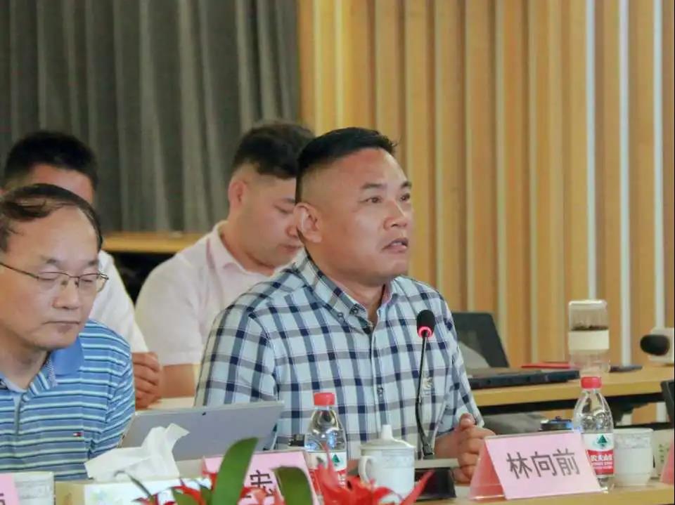 上海杨艺集团,杨艺集团最新公告