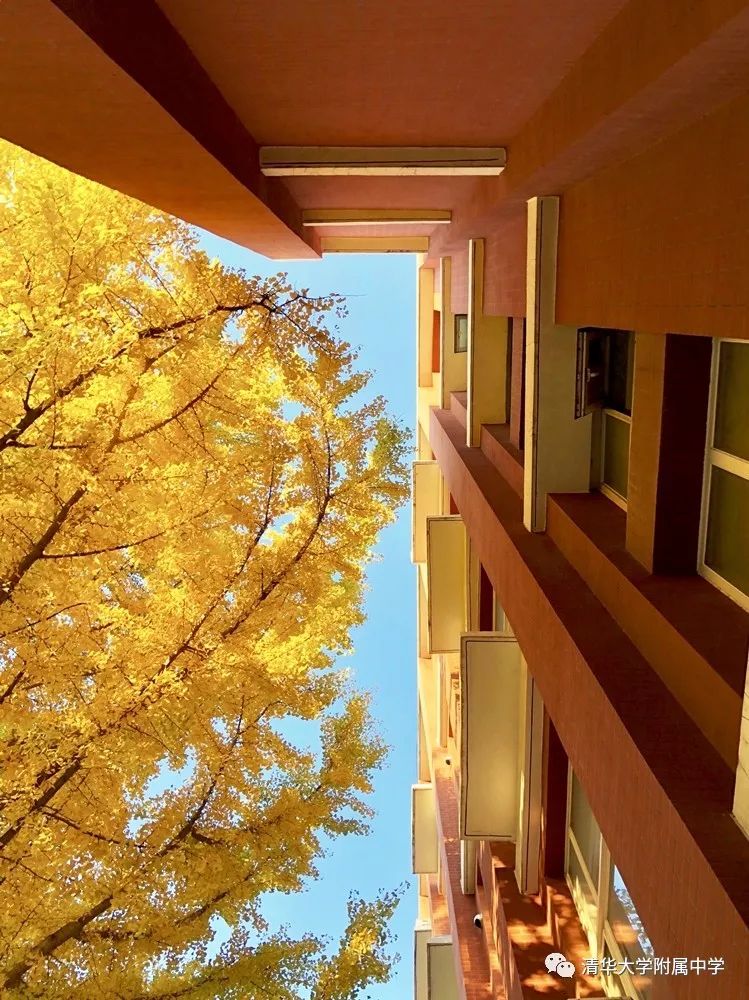 北京所有小学排名一览表,北京30所小学排名一览表