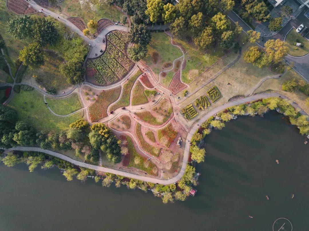 重庆大学有多牛,重庆大学怎么样好不好