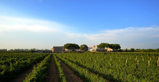 怡园酒庄在哪里,怡园酒庄庄主系列葡萄酒