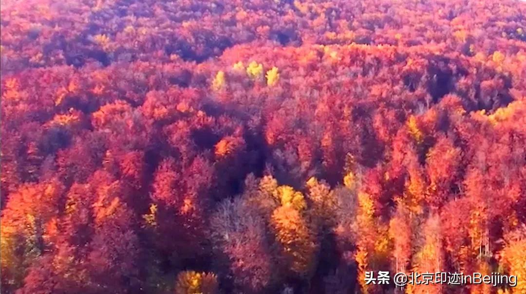 香山静宜园图片大全,香山静宜园二十八景