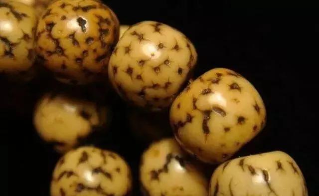 鸡油黄星月菩提盘出来的效果图,鸡油黄星月菩提为什么盘了不变色