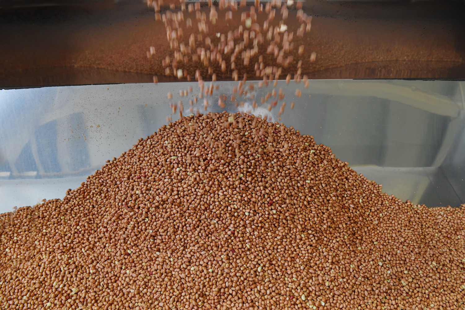 四川蓝剑饮品集团上市,四川蓝剑饮品集团营业额