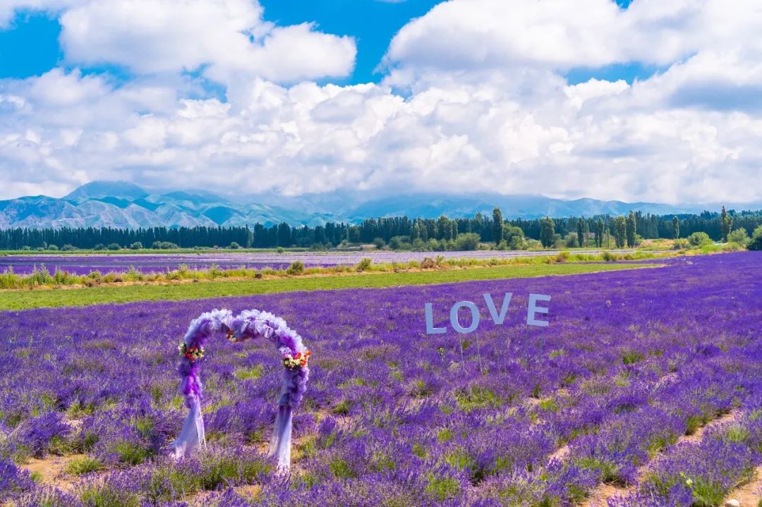 涓嶈兘鍘诲鍦扮殑鐞嗙敱,浜旂浜轰笉鑳藉幓鐤嗗唴鏃呮父