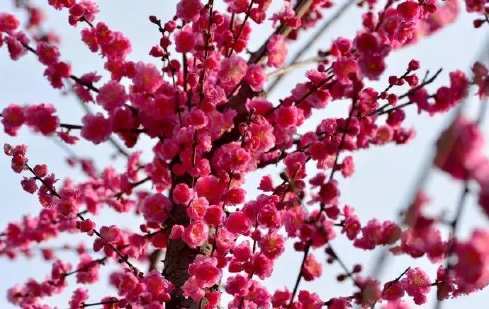 地铁万盛站将大变样，4000余岗位温江招聘会看这里！