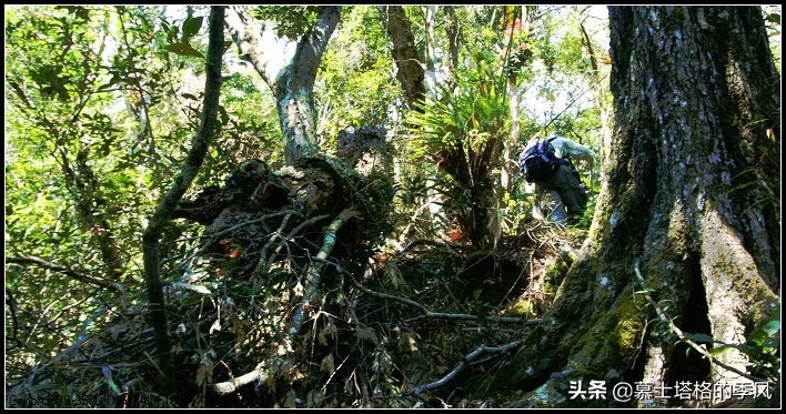 海南哪个地方适合养老价格还便宜,海南最适合的养老胜地