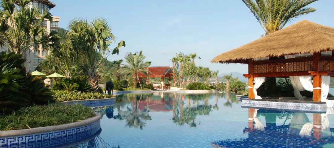 棕榈科植物的景观用途,观赏棕榈植物与景观