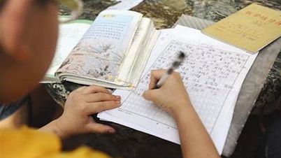 小学生工整的练字作业,小学生练字400字