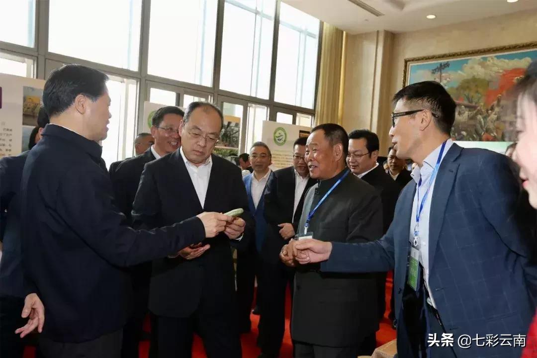 七彩云南庆沣祥生茶,2018年云南普洱茶十大名茶