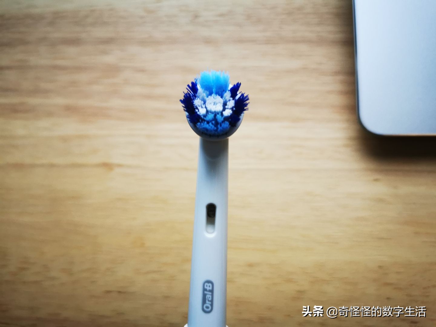 电动牙刷欧乐b牙刷测评,欧乐b电动牙刷不按刷头不转