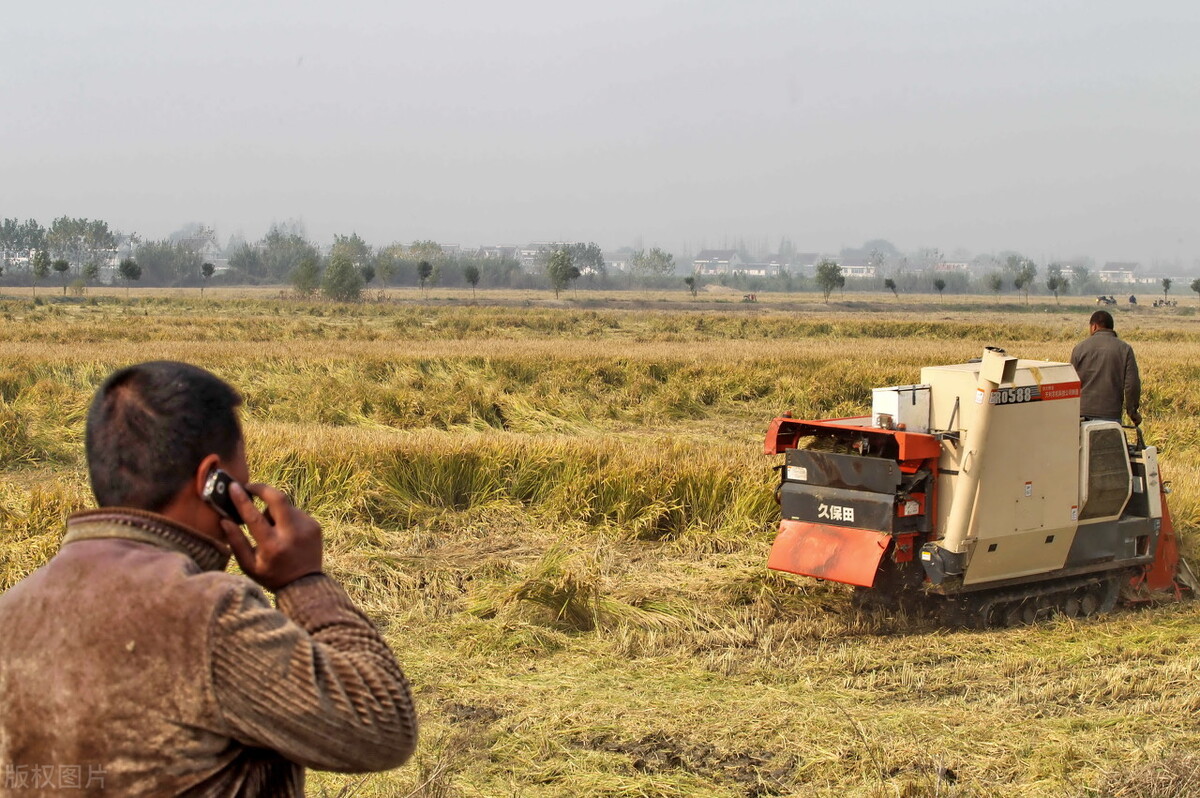 人类健康和战胜肿瘤的最终出路,肿瘤癌症的终结者