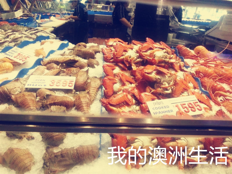 出国旅游必备英语口语餐厅篇,澳洲旅游英语口语