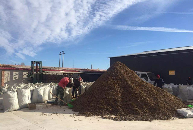 近年东北黑土地恢复现状如何,东北黑土地问题改善