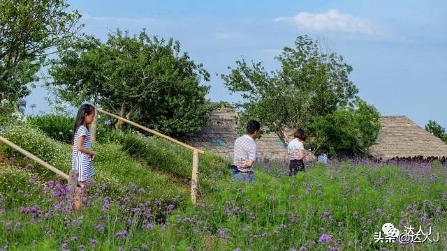 清迈攻略介绍,清迈攻略最全