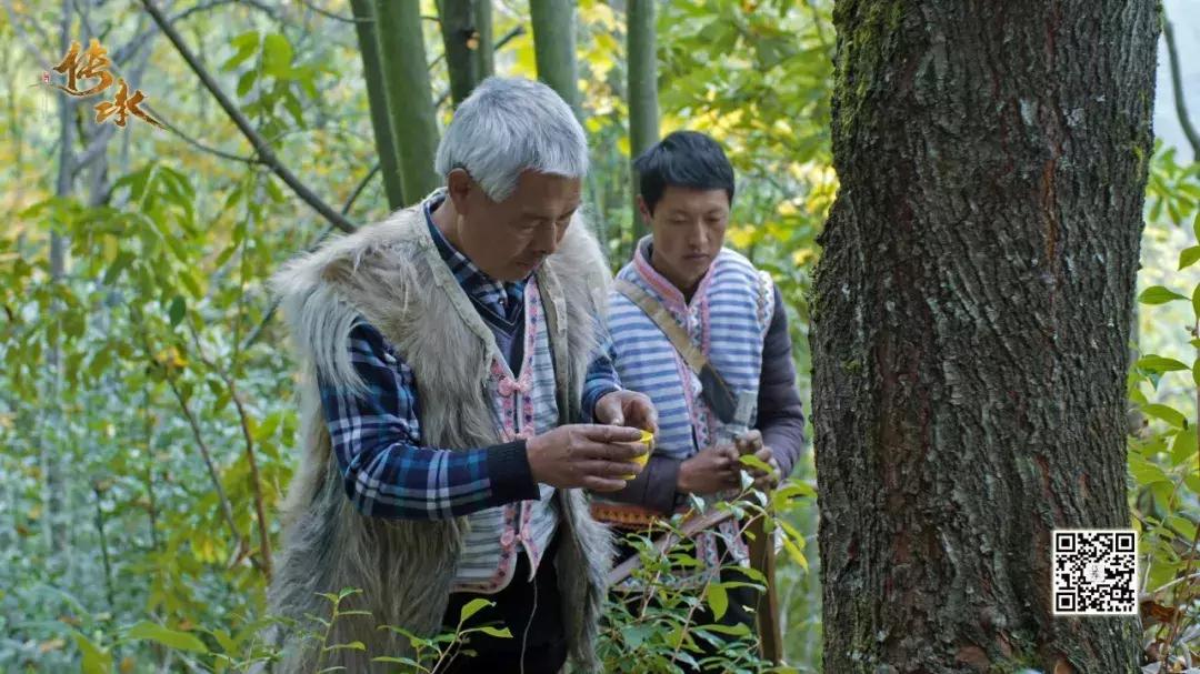 跟着《传承》第三季，3分钟教你做弓和捕鱼