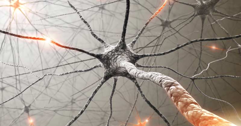 练的太多反而不瘦,练得太频繁会不会掉肌肉