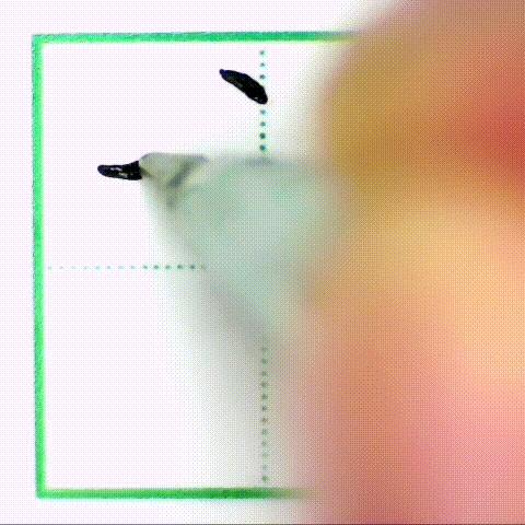 二年级下册写字表带拼音组词,小学二年级语文下册写字表全部