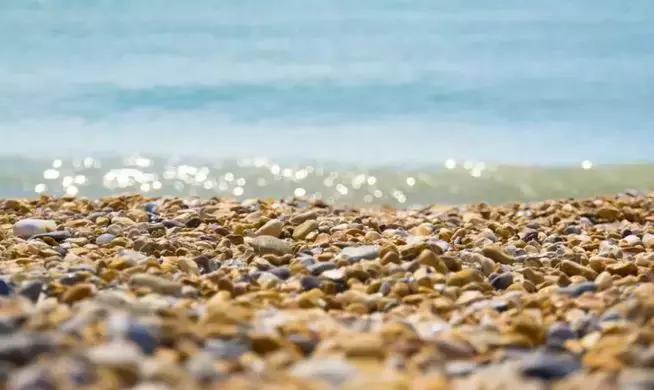 布莱顿海湾景点,布莱顿曼彻斯特城