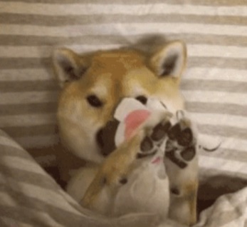 蜂王浆睡眠面膜推荐,蜂花睡眠面膜