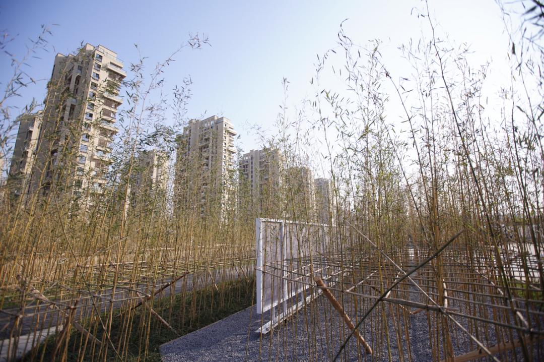 活力岛还会涨吗,活力岛活力环