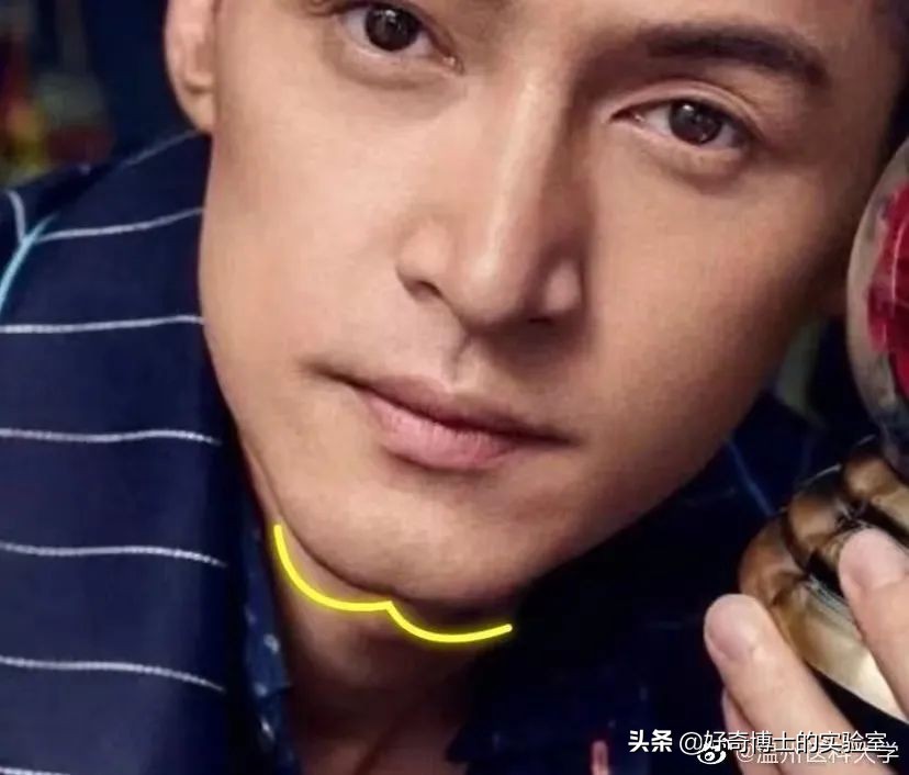 撸过猫撸过狗但你撸过“鱼”吗？