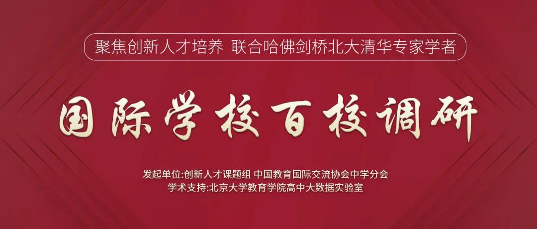 国际学校校长采访,国际学校校长深度解析