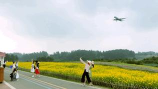 来成都打卡空港花田,成都双流空港花田打卡看飞机