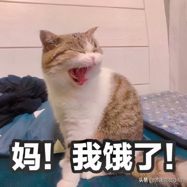 有什么口味的青团好吃,苏州哪家青团最好吃而且品种多