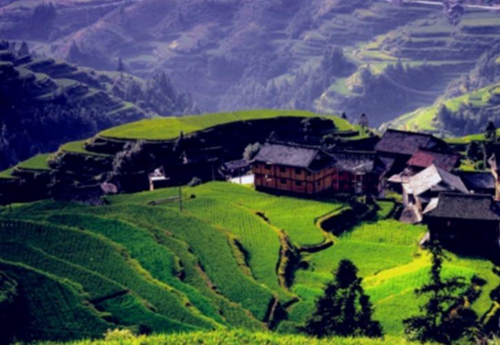 长寿之王龚来发,长寿之王龚来发终身未娶